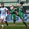 Salernitana-Monopoli, Scipioni la sblocca con un gol da centrocampo