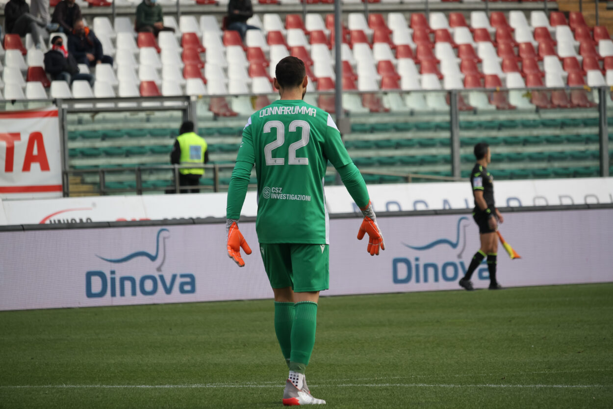 donnarumma padova