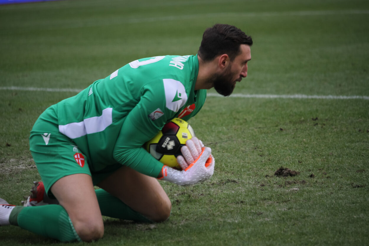 donnarumma padova