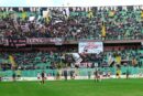 Palermo calcio stadio