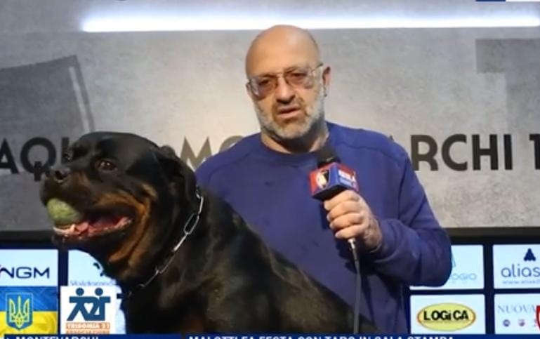 Malotti Montevarchi cane