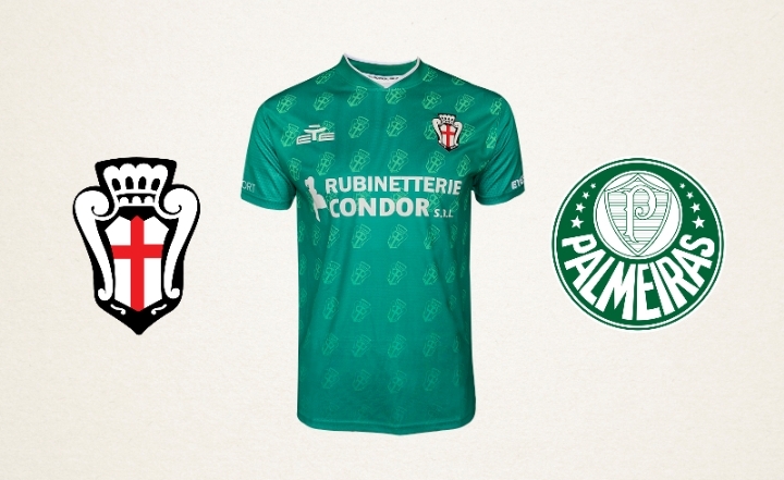 pro vercelli palmeiras maglia