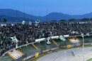 avellino lega pro tifosi