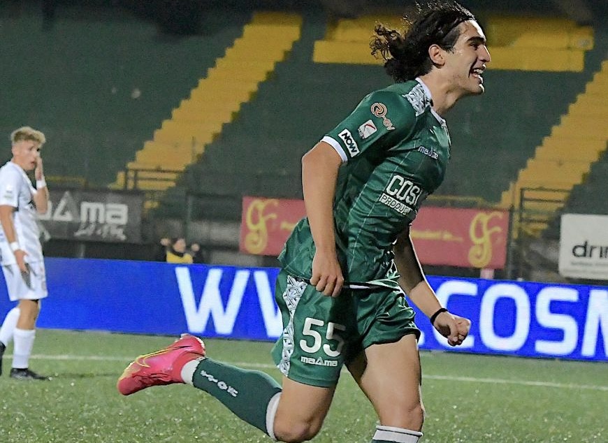 tozaj avellino