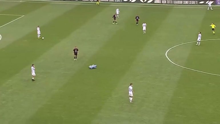 Triestina Feralpisalò, un telo vola in campo durante la partita / www.lacasadic.com