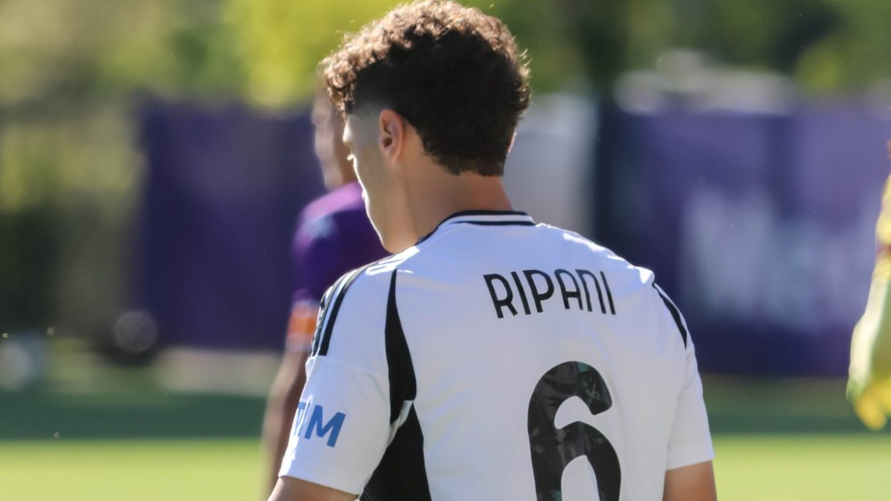 Ripani