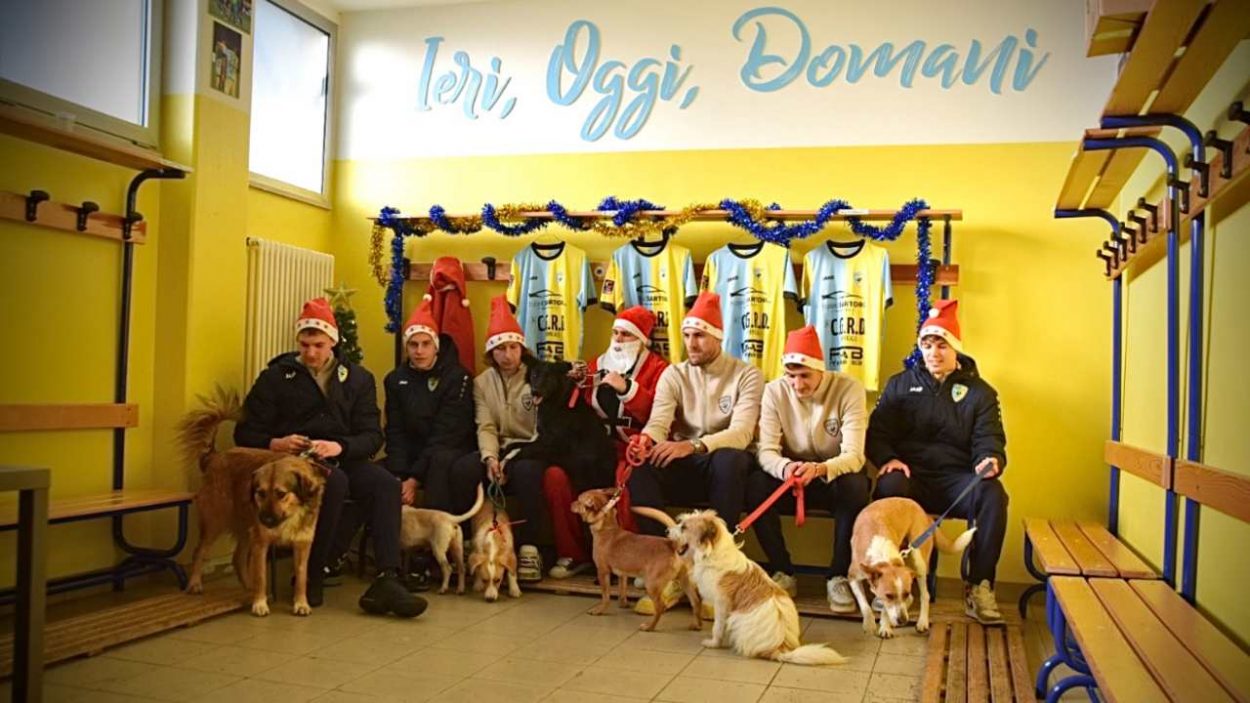 Arzignano canile (credits Ph Romeo Deganello) www.lacasadic.com